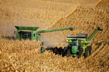 ФАО не изменила прогноз по мировому урожаю зерновых в 2023 году